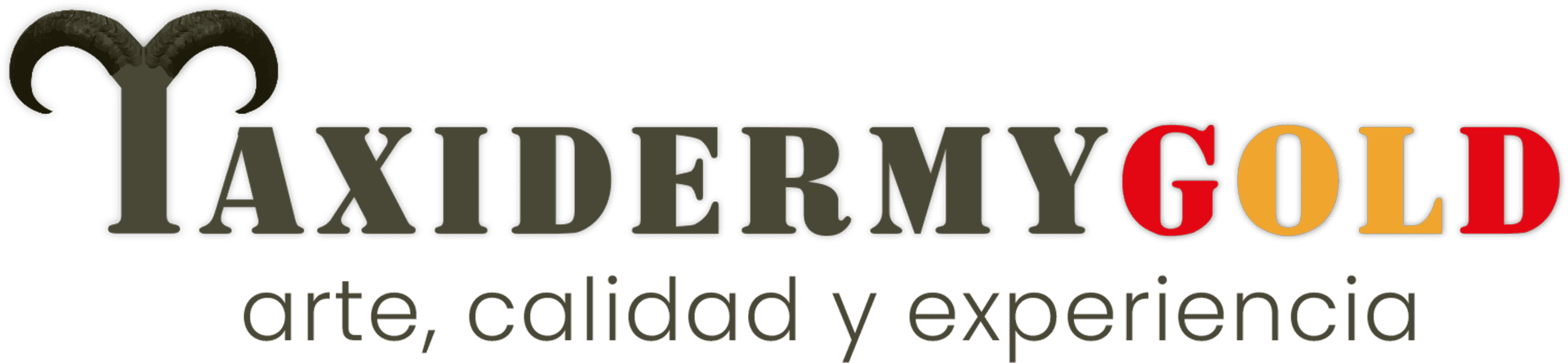 Taxidermia en Elda